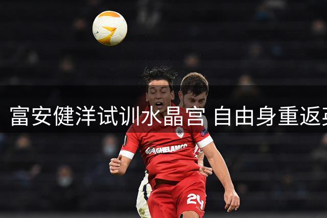 富安健洋试训水晶宫 自由身重返英超或成定局