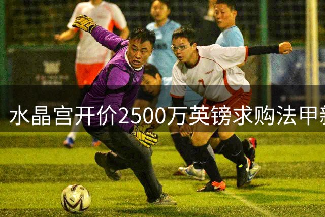 水晶宫开价2500万英镑求购法甲新星达努瓦
